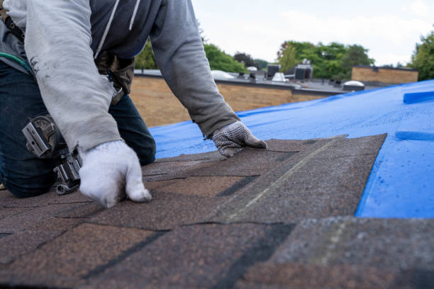 Best New Roof Installation  in Cricket, NC