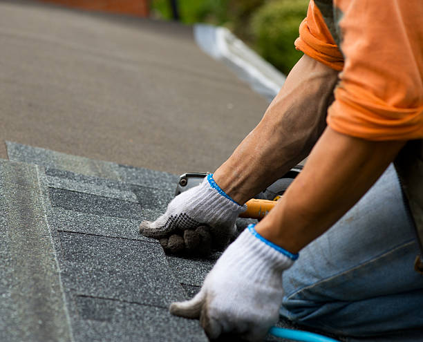 Best Roof Gutter Cleaning  in Cricket, NC